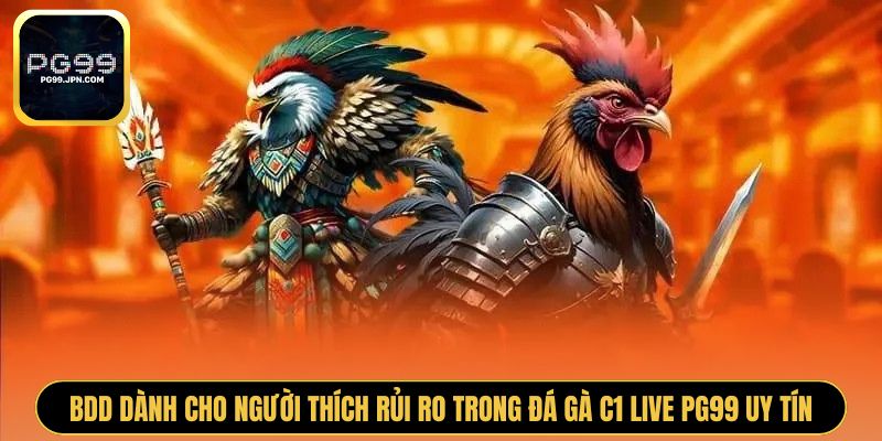 BDD dành cho người thích rủi ro trong đá gà c1 live PG99 uy tín