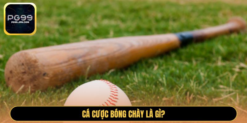 Cá cược bóng chày là gì?