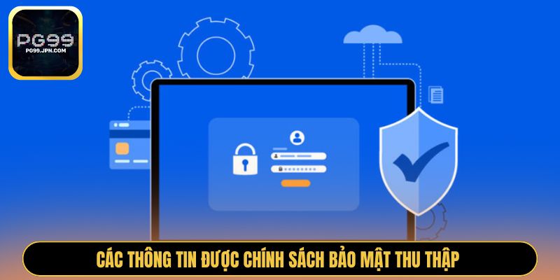 Các thông tin được chính sách bảo mật thu thập 