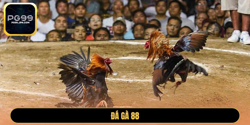 đá gà 88