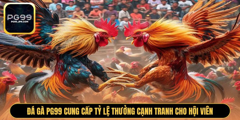 Đá gà PG99 cung cấp tỷ lệ thưởng cạnh tranh cho hội viên