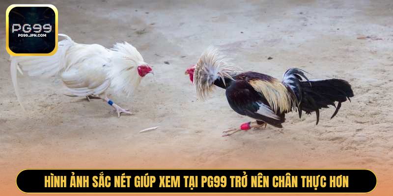 Hình ảnh sắc nét giúp xem tại PG99 trở nên chân thực hơn