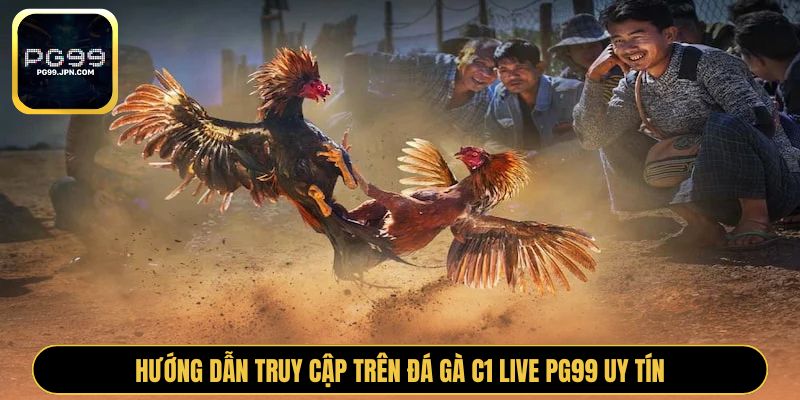 Hướng dẫn truy cập trên đá gà c1 live PG99 uy tín