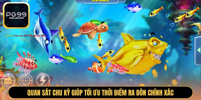 Quan sát chu kỳ giúp tối ưu thời điểm ra đòn chính xác