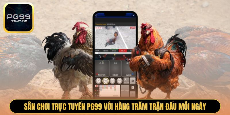 Sân chơi trực tuyến PG99 với hàng trăm trận đấu mỗi ngày