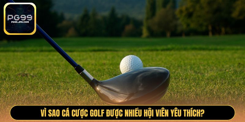 Vì sao cá cược Golf được nhiều hội viên yêu thích?